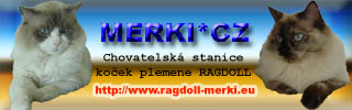 MERKI*CZ - chovatelská stanice koček plemene Ragdoll - http://www.ragdoll-merki.eu/